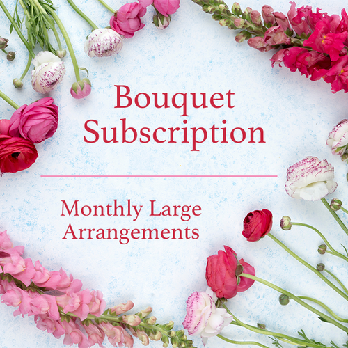 Monthly Large Arrangement Subscription